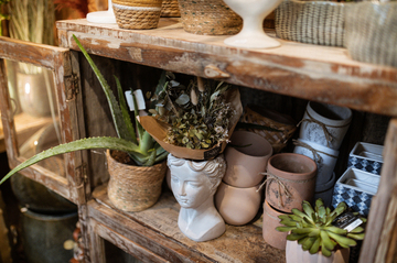 Fleuriste Lège-Cap-Ferret : acheter vos bouquets de fleurs