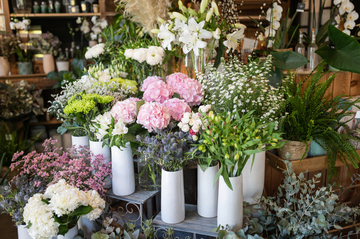 Fleuriste Lège-Cap-Ferret : acheter vos bouquets de fleurs